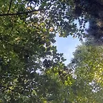 La Coraillaise