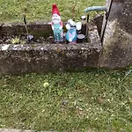 La Coraillaise *