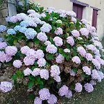 Guest house La Coraillaise Saint-Aigulin